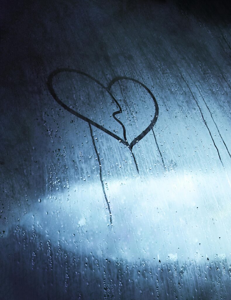 Heart 