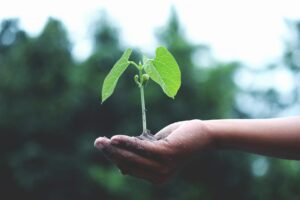 Growth mindset