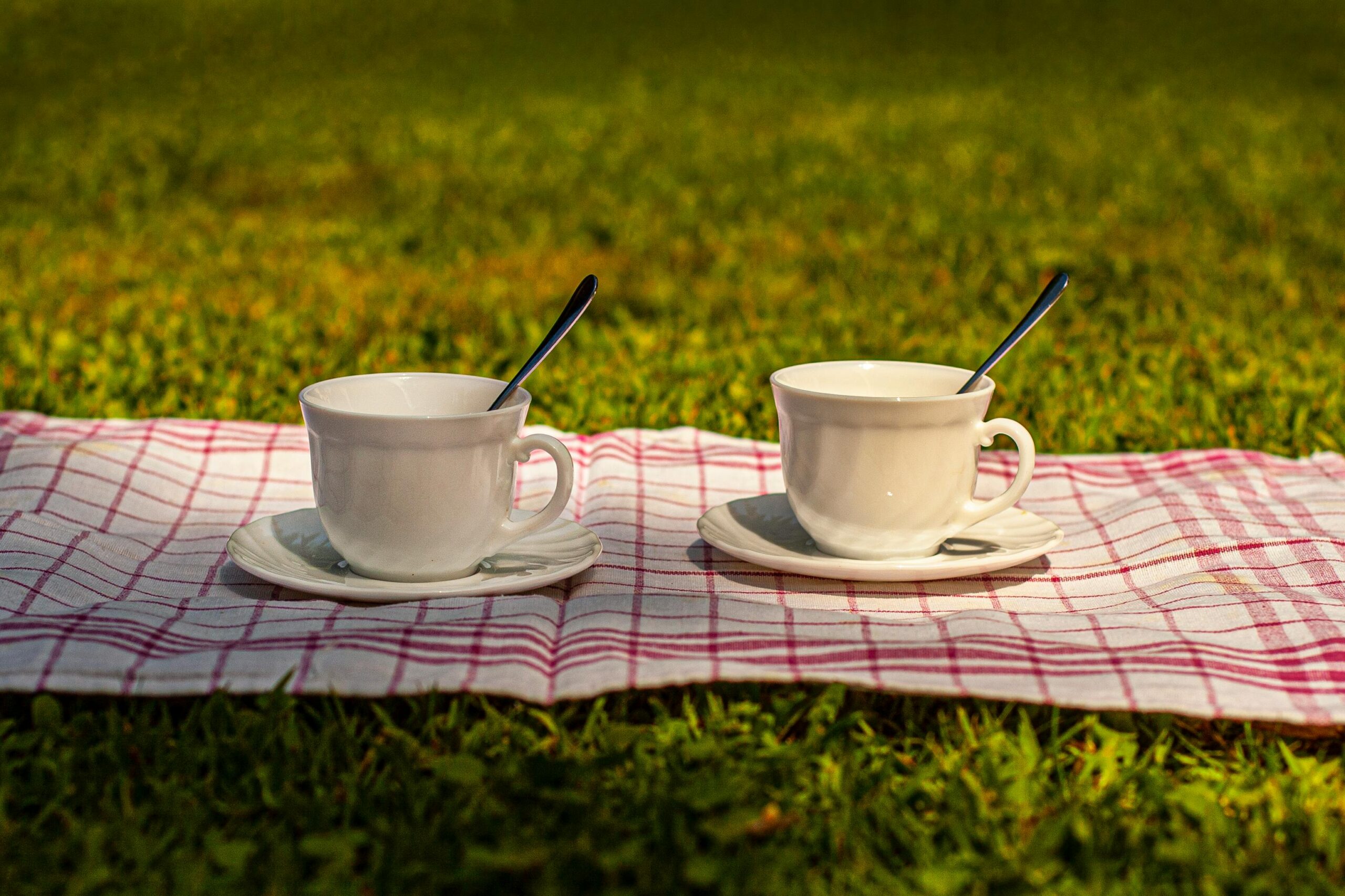 Things Couples Should Do Together Once a Year