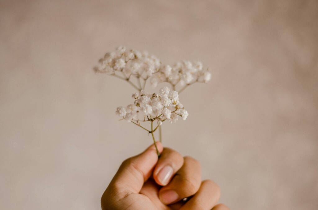 Gratitude for the small things