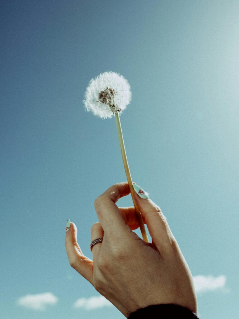 Hands