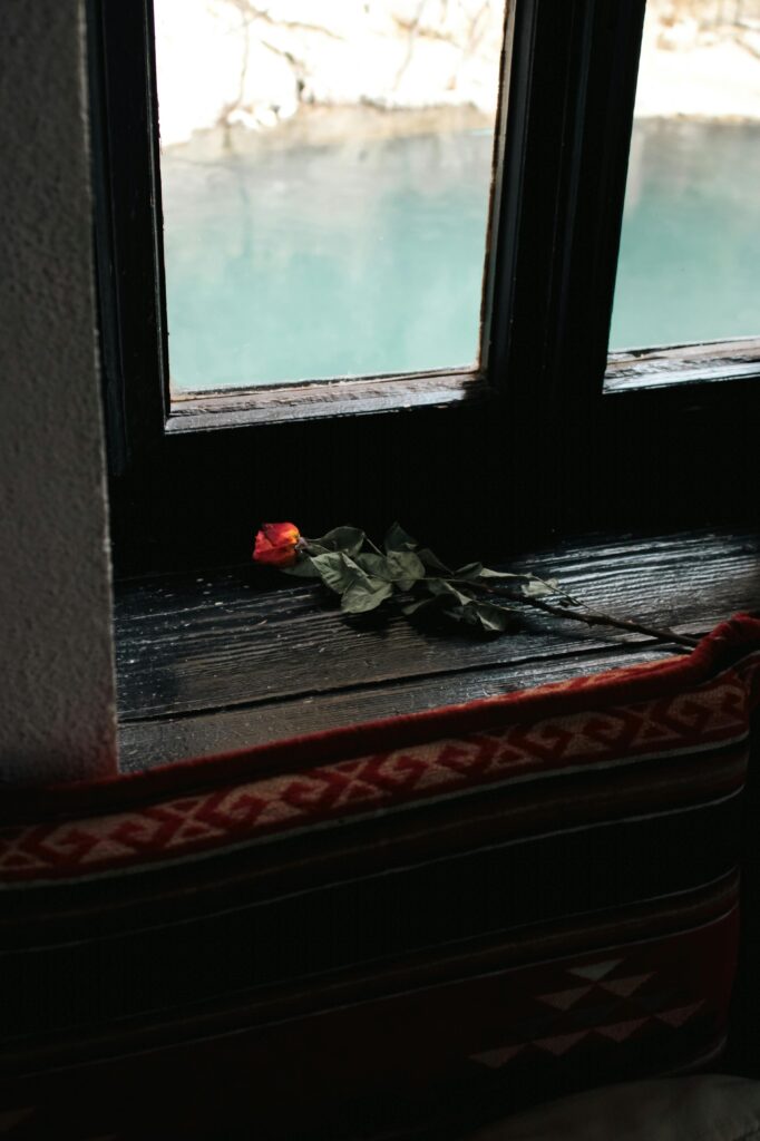 Flower by the window