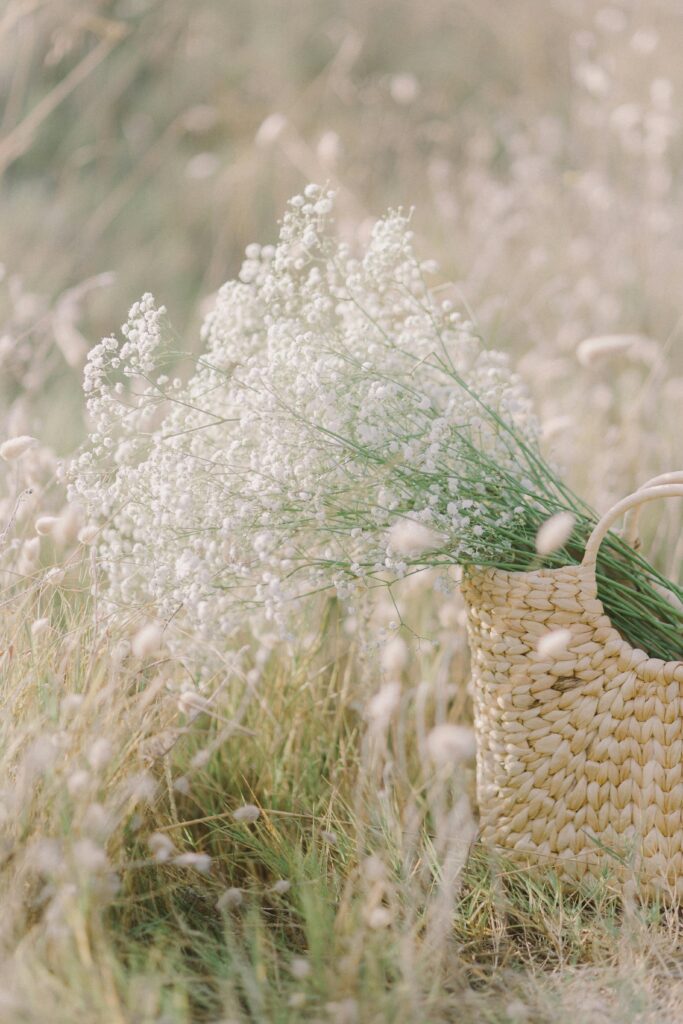 Flower field