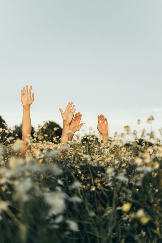 Hands in a flower field