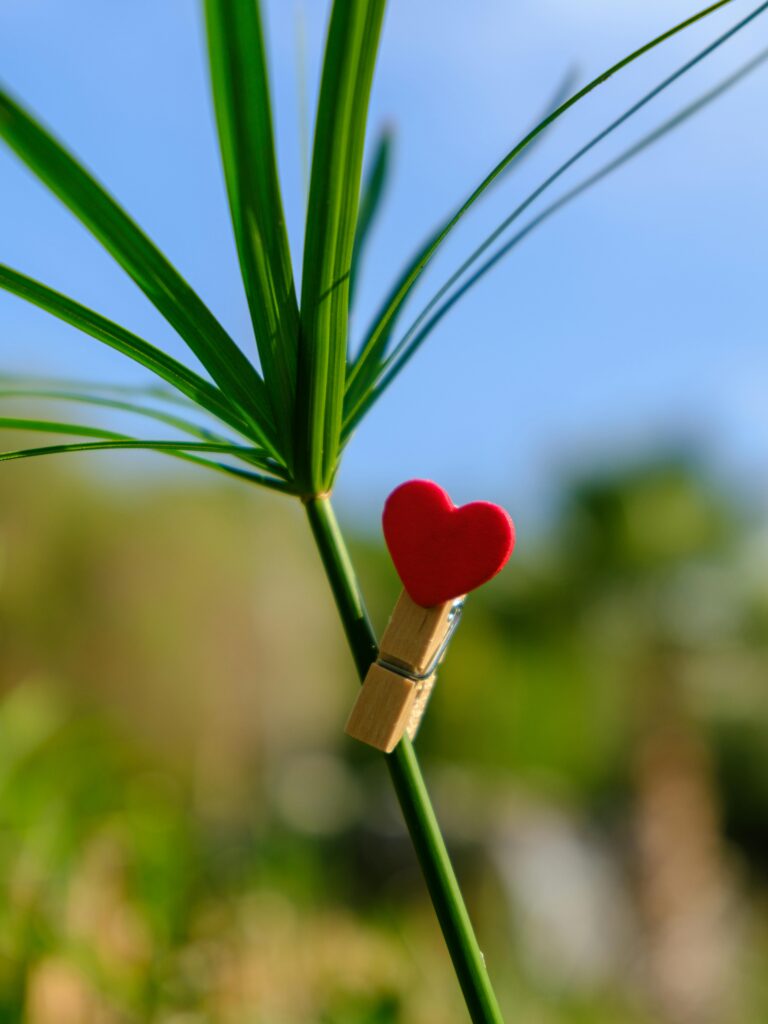 Heart on grass