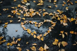 Signs He Likes You But Is Hiding It